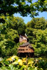 The Treehouse