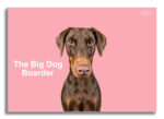 The Big Dog Boarder